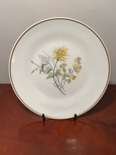 NEW Set of 35 Vtg GINORI "Primavera" Floral Porcelain Coffee Dessert Set Plates - Picture 13 of 22