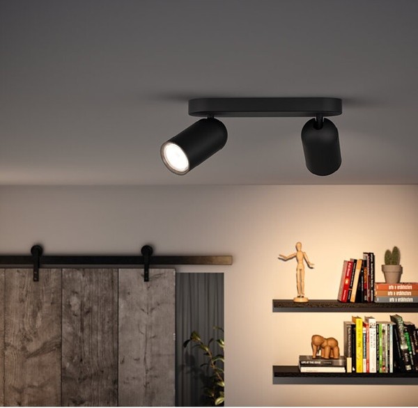 Philips Myliving Led Spot Pongee 2-Flammiger Schwenkbarer Strahler In Schwarz-image
