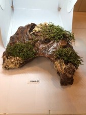 Arboreal Attitudes Weighted Ground Hides For Terrariums And Cages Large