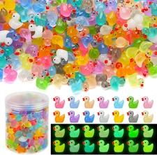 240Pcs Luminous Mini Resin Ducks, Tiny Duck Bulk Glow in the Dark Small Plastic