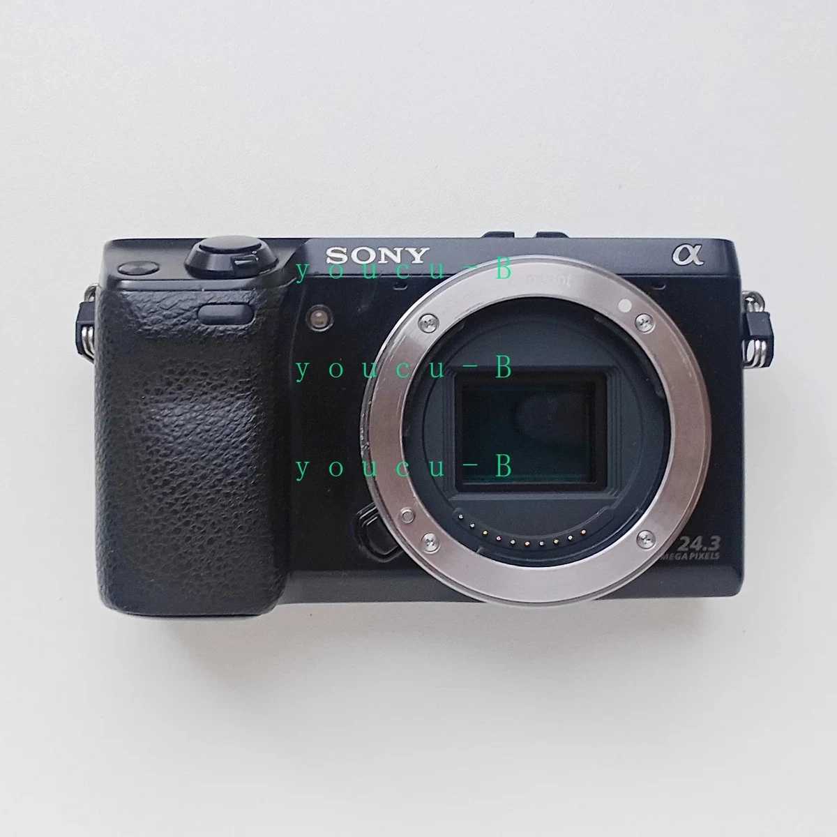 Sony Alpha Nex-7 Digital Cameras for Sale - Shop New & Used