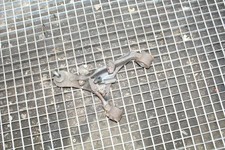 LAND ROVER RANGE ROVER SPORT L320 Querlenker vorne links unten RBJ500850 2007