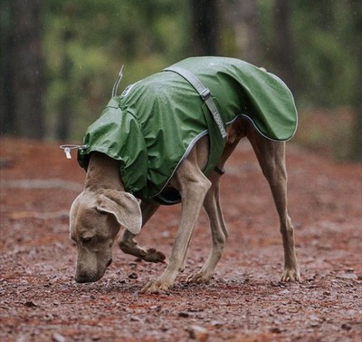 BlackDoggy Raincoat 2XL Windproof Reflective 21.6'' inches Green Excellent 