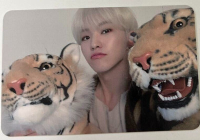 seventeen winter 2020 ホシ ec ポストカード SEVENTEEN Hoshi 2020 Season's Greeting house Official Photocard