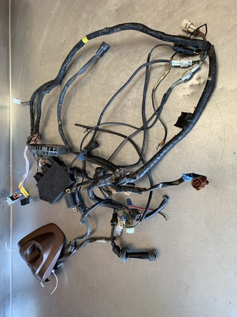 Yamaha Rhino Wiring Harnes : Yamaha Grizzly 450 EPS 11 Wiring Harness