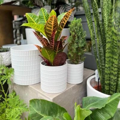 LARGE, MEDIUM, SMALL Glazed Ceramic Flower Pots Home Plant Pot Holder Pot Indoor