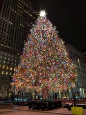 Lights from Rockefeller Center Christmas Tree 2024-2025 - Strand of 10