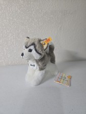 Steiff Plush BERNIE Husky Dog 104985 Stuffed 7" Grey and White