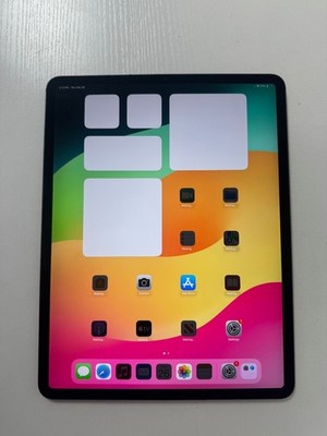 iPad Pro 12.9 Inch  4th Generation - A2229 (WIFI & Cellular)  256GB - Great Cond