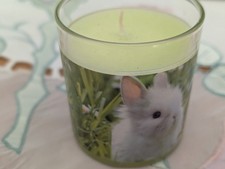 Kerze, Glas befüllt mit Wachs Casa Deco Euro Kerze - Ostern, Osterhase / Grün