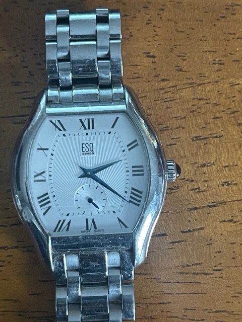 Mens ESQ watch Model E5344 | eBay display picture 1