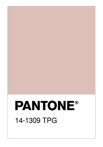 Pantone 14-1309 TCX Smart Color Swatch Card PEACH WHIP | eBay
