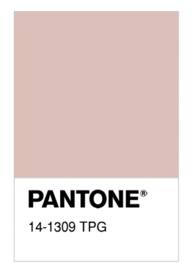 Pantone 14-1309 TCX Smart Color Swatch Card PEACH WHIP | eBay