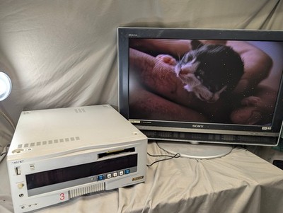 Sony DVCAM DSR-60 Digital Video Casette Player; DVCam Format, DV & Mini DV Works