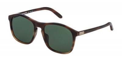 Lozza SL1845F Avana scura lucida 55/19/140 UNISEX Sunglasses
