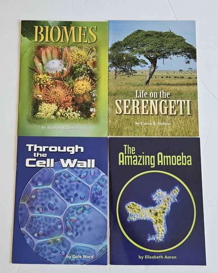 Lot 31 Houghton Mifflin Leveled Readers Brand New - Image 2 of 4