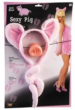 Pig Costume Accessory Kit One Size