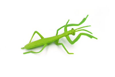 アビソ プレイング・マンティス5’4″ AVISO　PRAYING MANTIS Praying Mantis, Rubber Insect, Toy Realistic Figure, Model, Kids