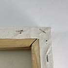 Picture 16 of 17