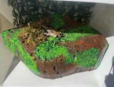 Small Corner piece magnetic Sub Tropical