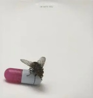 I'm With You | Red Hot Chili Peppers | Schallplatte | Vinyl / Schallplatte