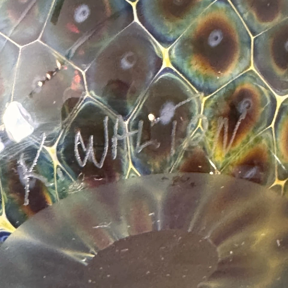 Pisapapeles de vidrio artístico firmado por Kenny Walton ojo de dragón o pluma tirada *RARO* Foto 3 de 4