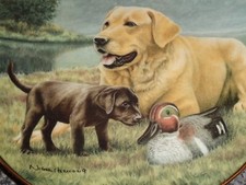 Lovely Franklin Mint Labrador Plate FIRST ENCOUNTER