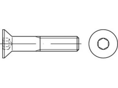 25 x Senkschrauben mit Innensechskant ISO 10642 A 4 M 20 x 70 A 4 VES, CAB FASTE