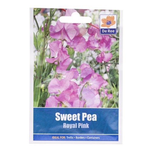 Sweet Pea ROYAL PINK Seeds Pictorial Packet Fragrant Cut Flowers