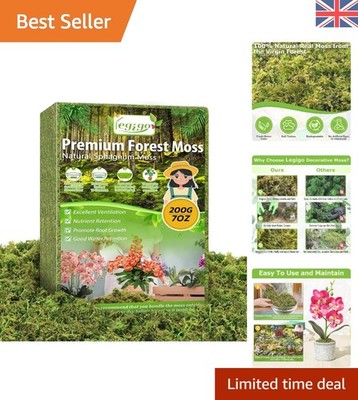 200g echtes grünes Waldmoos: Natürliches Dekoelement für Basteln & Garten