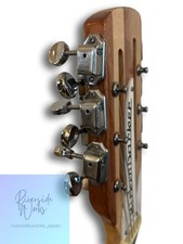 Rickenbacker 360