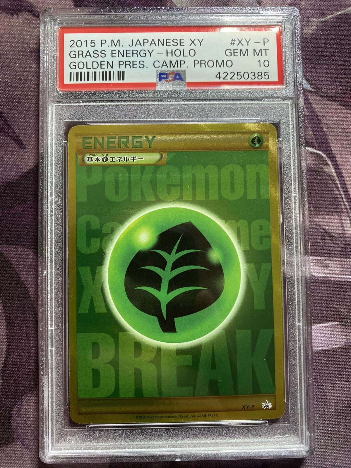 PSA 10 Grass Energy XY-P Golden Present Campaign Promo 2015 Japanese Pokemon
