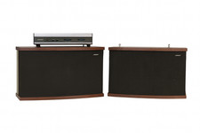 BOSE 901 Series V Direct/Reflective Speakers,...
