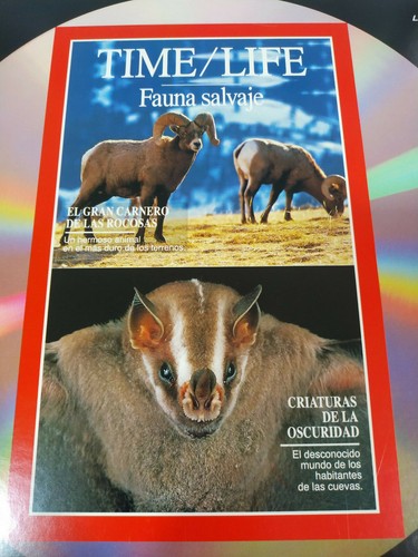 Time Life Chevaux Sauvages Rennes Caribus Alaska Aries Rocheuses Laserdisc Ld 2T - Afbeelding 6 van 7