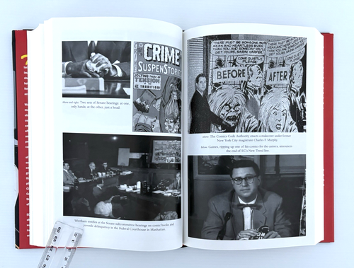 The Ten-Cent Plague The Great Comic Book Scare and How It Changed America 2008 - Picture 10 of 18