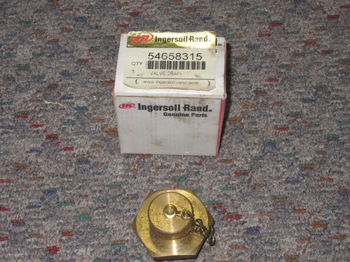 Ingersoll Rand 54658315 Valve Drain - 第 1/1 張圖片