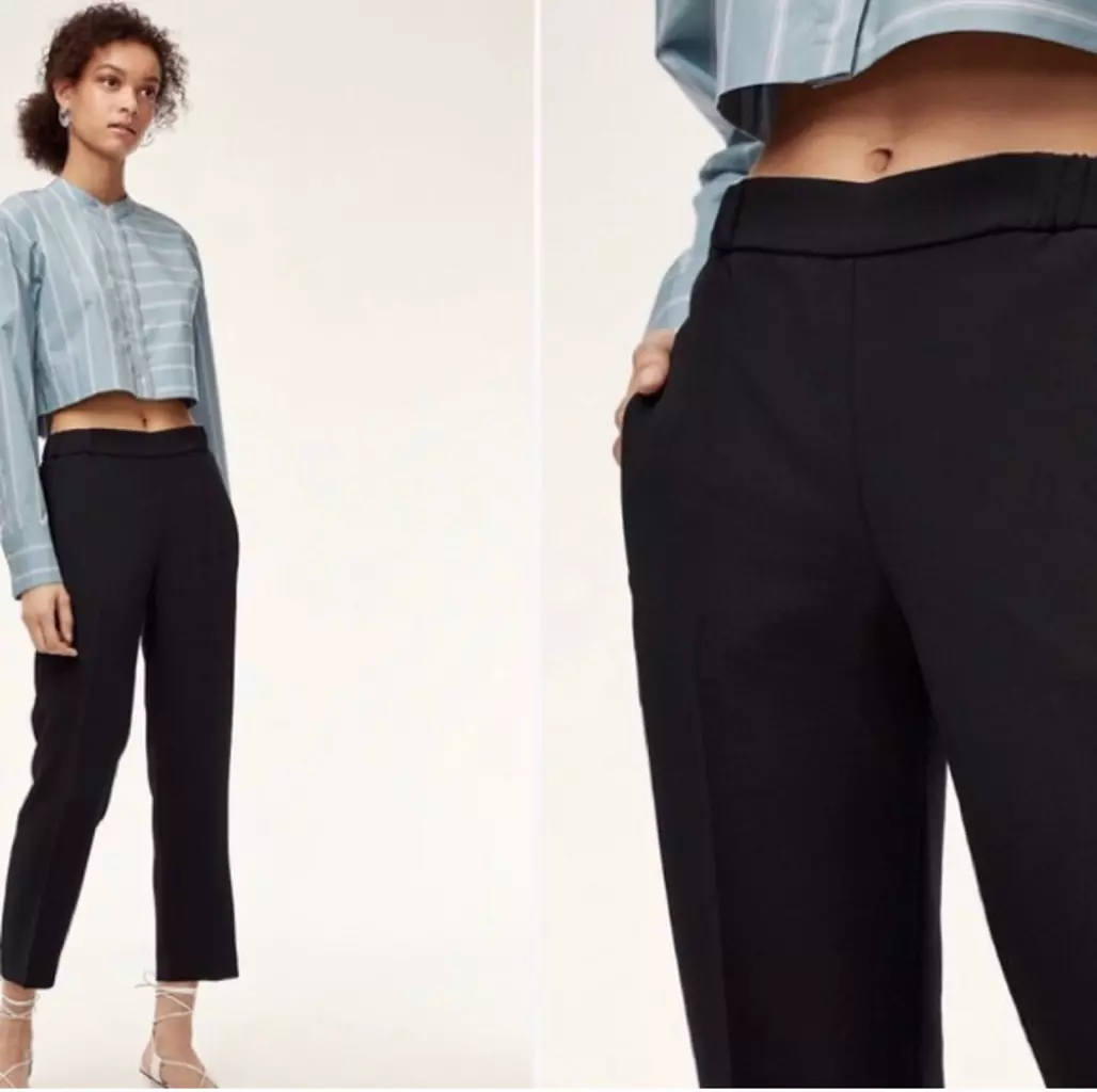 Wilfred Aritzia Darontal Black Cropped Pants