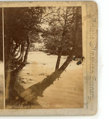 Bridge & Rapids Dufferin Island Niagara Falls Webster & Albee Stereoview