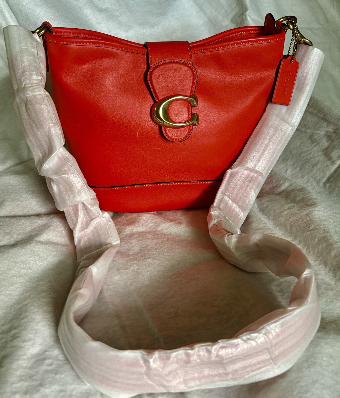 Coach Signature Leather Crossbody Bag for Women  -image