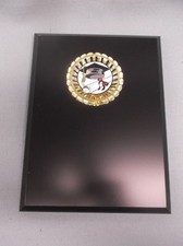 graduate insert award trophy plaque 6 x 8 black finish
