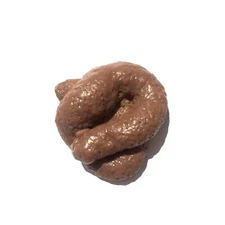 Fake Pile Dog Lucy Poop Doggie Poo Realistic Doggy Doo Doo Prank Joke Gag Crap