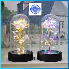 Rose Eternelle en Verre Dôme LED Lumière Fleur Artificielle Cadeau Saint Vale...