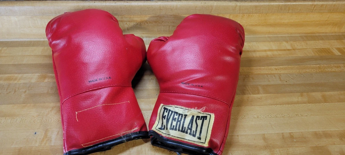 25+ Everlast Boxing Gloves for sale | Updated Sep 2026