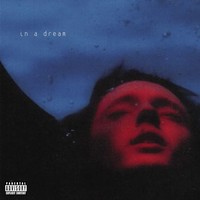 Sivan Troye - In A Dream - Vinyl Record - G3Z