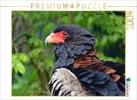 Calvendo Puzzle Street Performer | 1000 Pieces, Finished Size 25.2 × 18.9 In (64