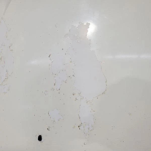 Hood OEM 2001 2002 2003 2004 2005 2006 Mitsubishi Montero  - Image 3 of 4