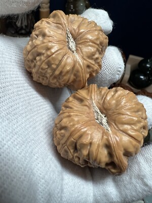 Pair of Match Chinese Health Walnut Collection40.5×42×38mm 精配文