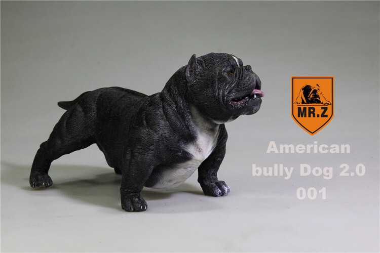 Mr.Z 1/6 American Bully Pitbull Dog Pet Figure Animal Toy