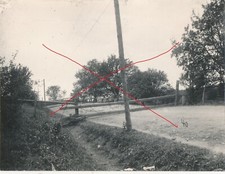 Nr-53087 Foto  1 Wk Dobrotow Russland Galizien Grenze Sperre 8,5 x 11,5 cm