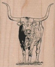LongHorn Steer 2 1/2 x 3" Rubber Stamp, Animal Stamp, Steer Stamp